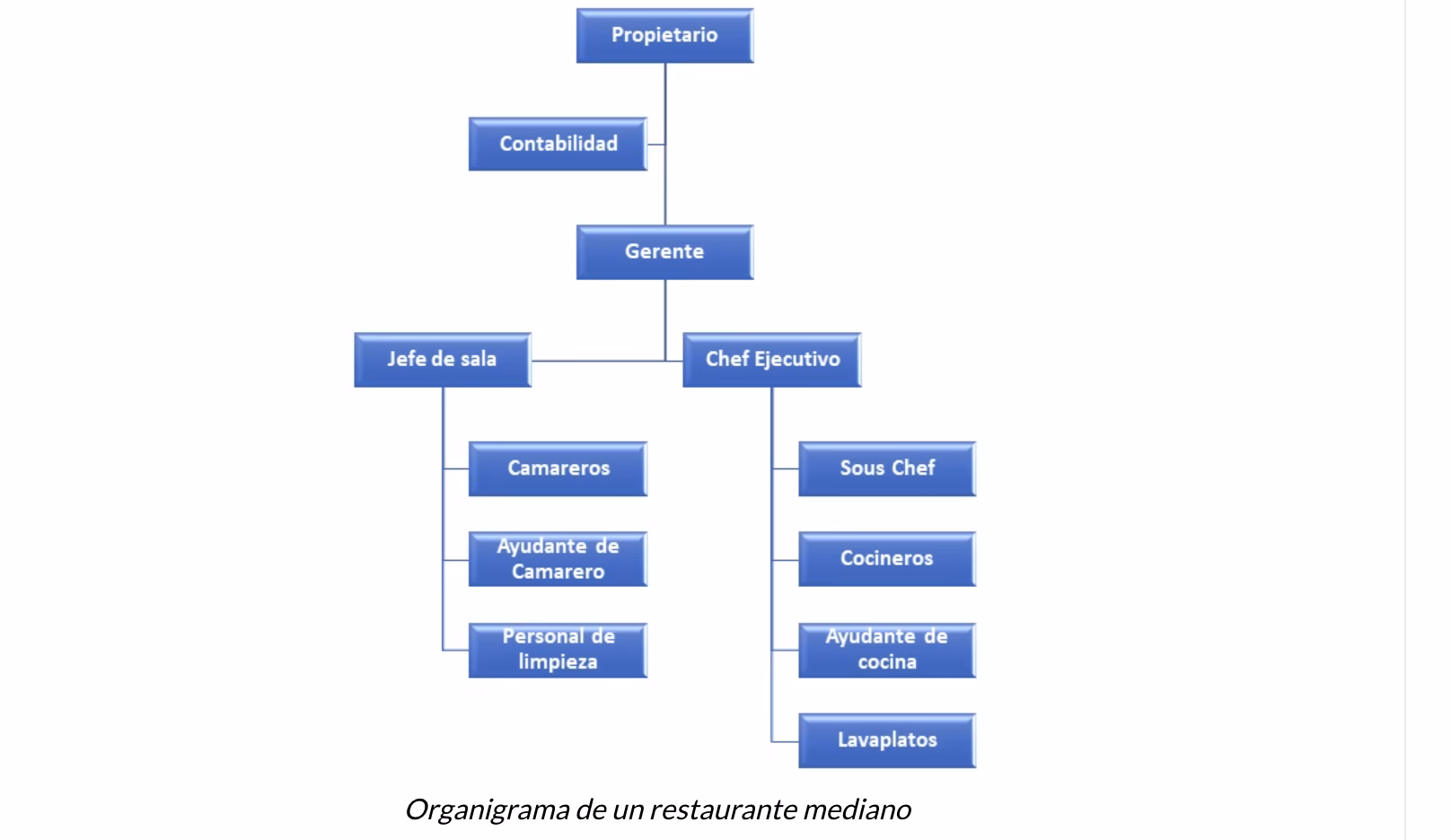 ¿Cómo se divide el área de alimentos y bebidas?
