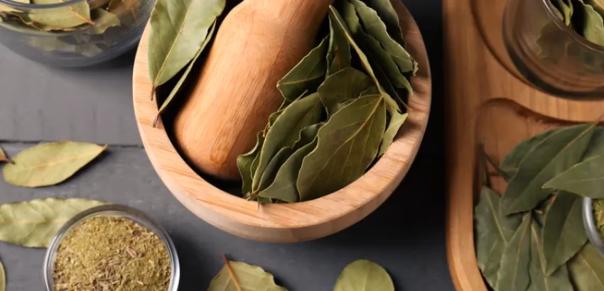 ¿Dónde es originario el laurel?