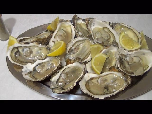 ¿Qué tipo de comida es el ostión?