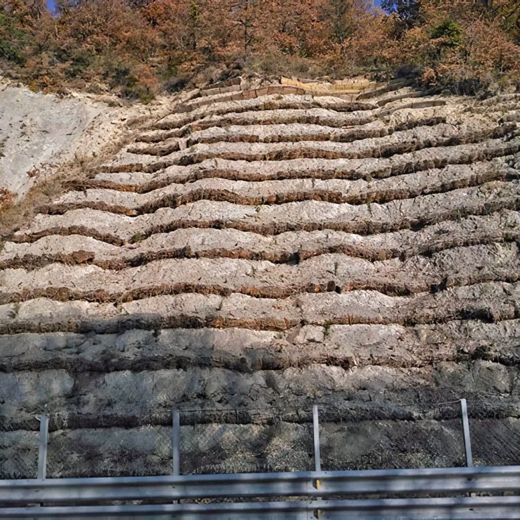 ¿Qué es la bioingeniería en la estabilidad de taludes?