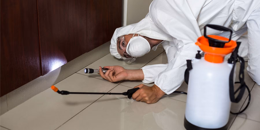 ¿Qué importancia tiene el manejo y control de plagas?