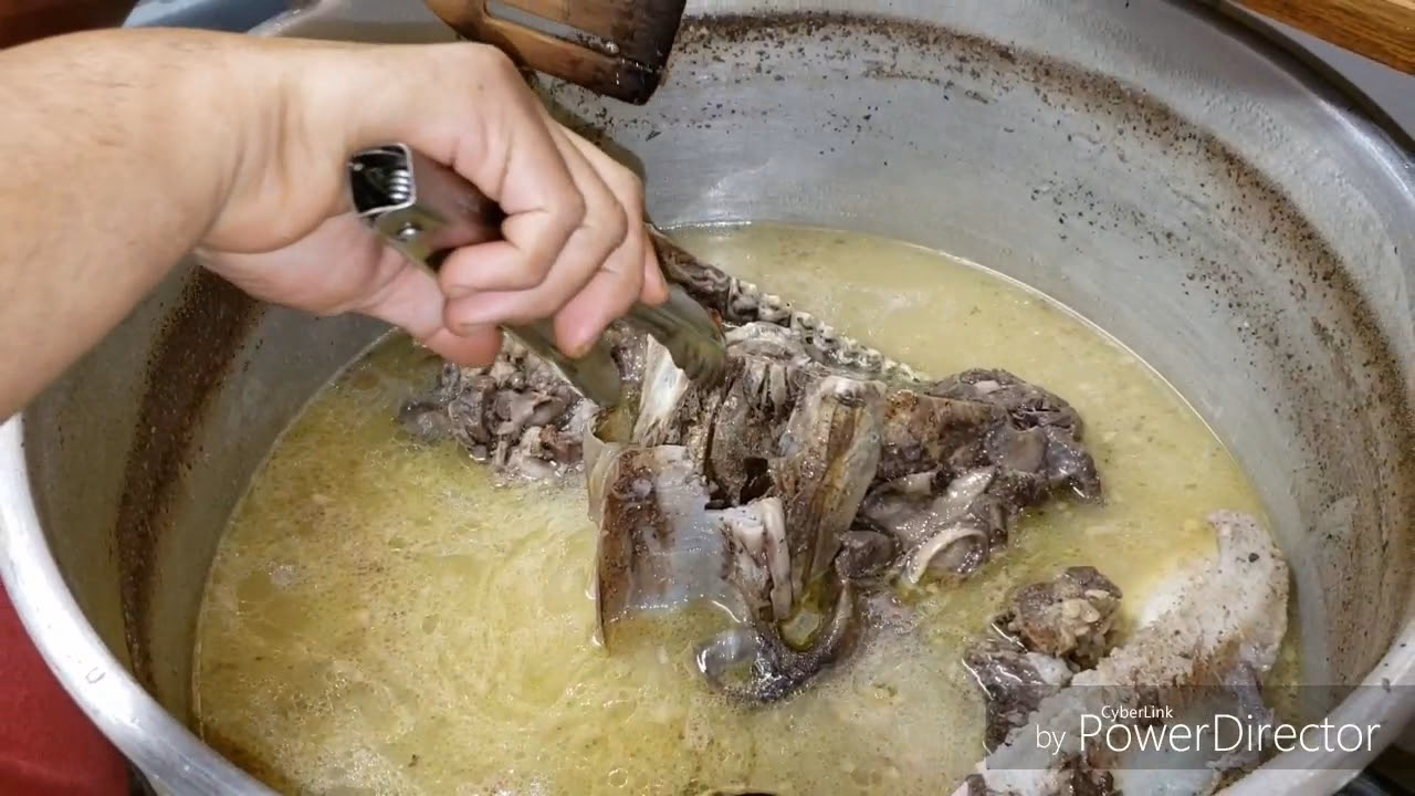 ¿Cómo se llama la cabeza de pescado?