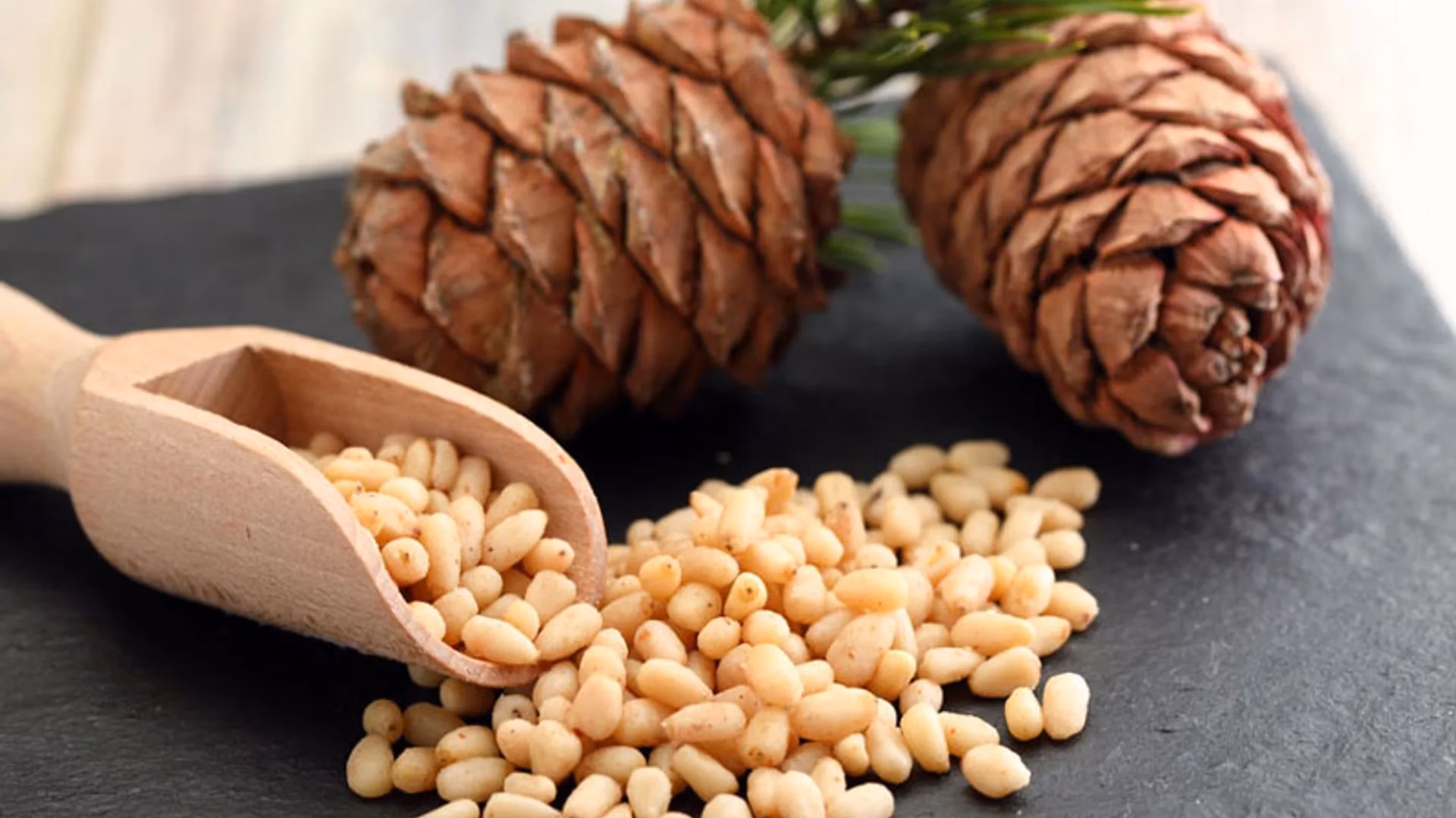 ¿Cómo se llama la semilla del pino que se come?