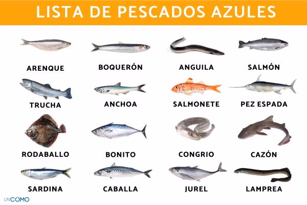 ¿Qué especies de peces son de agua dulce?