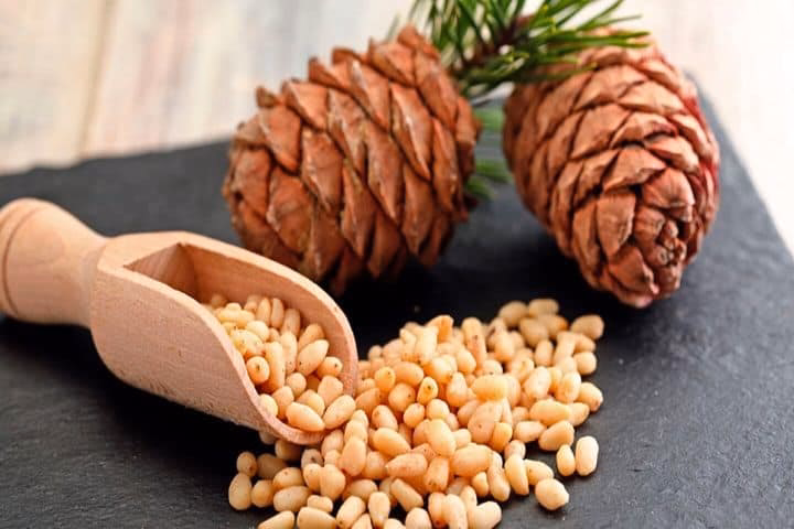 ¿Dónde se originó el piñón?