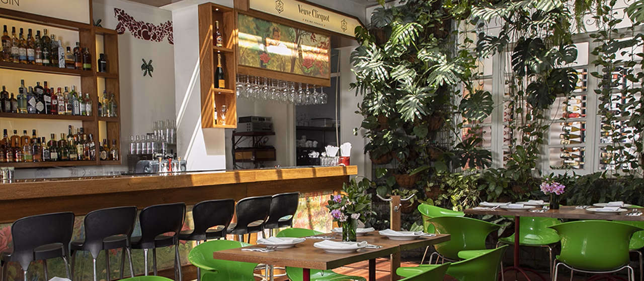 ¿Qué es un platillo volador de comida?