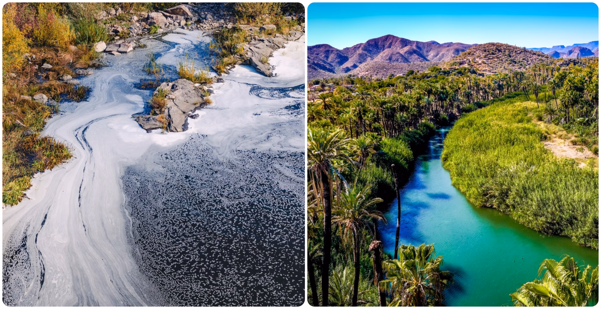 ¿Qué son los ecosistemas fluviales?