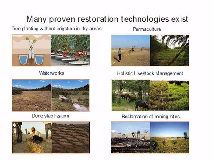 ¿Qué son los principios ecológicos?