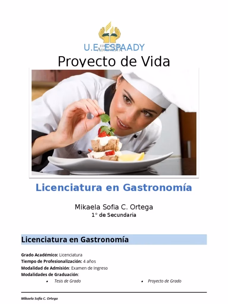 ¿Cómo elaborar un proyecto de alimentos?