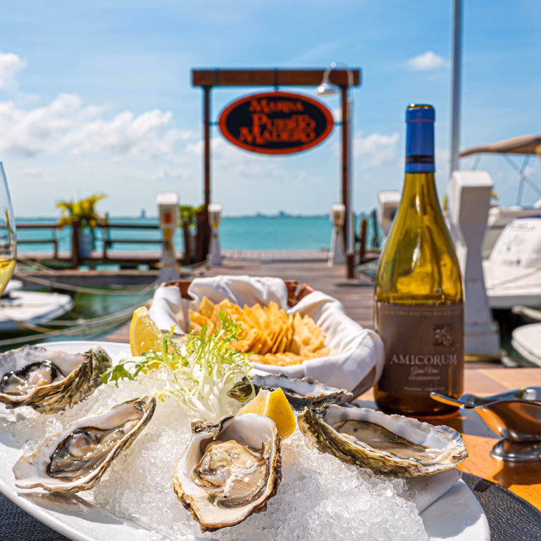 ¿Por qué es famoso Puerto Madero?