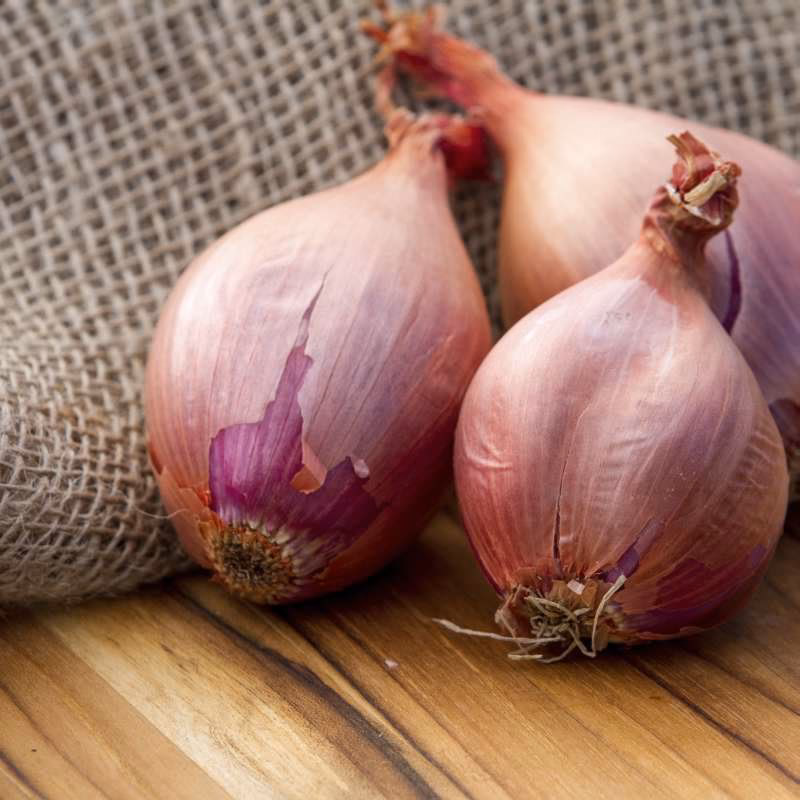 ¿Qué es chalota en Colombia?