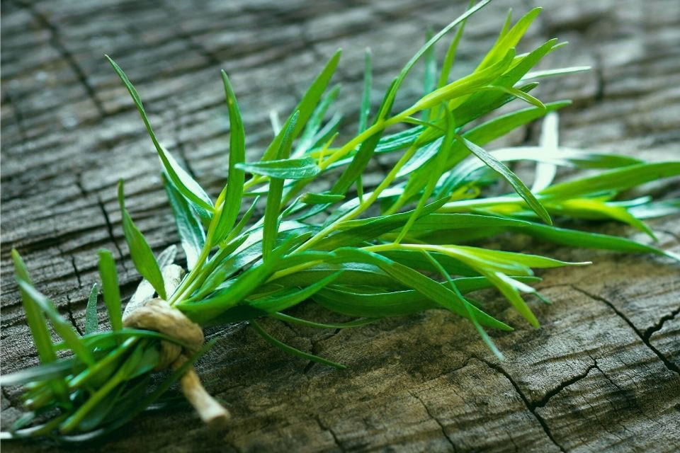 ¿Qué es el estragón en Colombia?