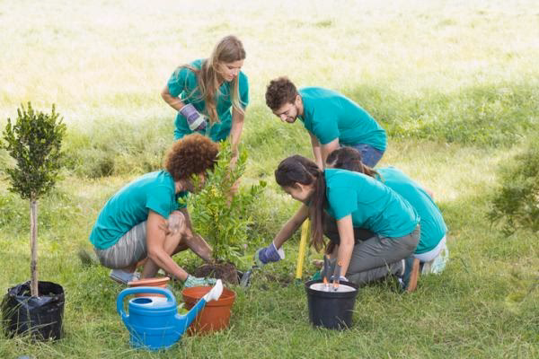 ¿Cuáles son algunos ejemplos de acciones de restauración ecológica?