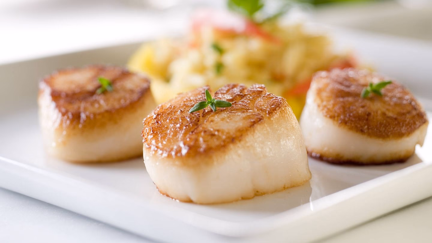 ¿Cómo se llaman las vieiras en Colombia?