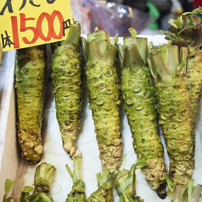 ¿Qué es el wasabi y para qué se utiliza?