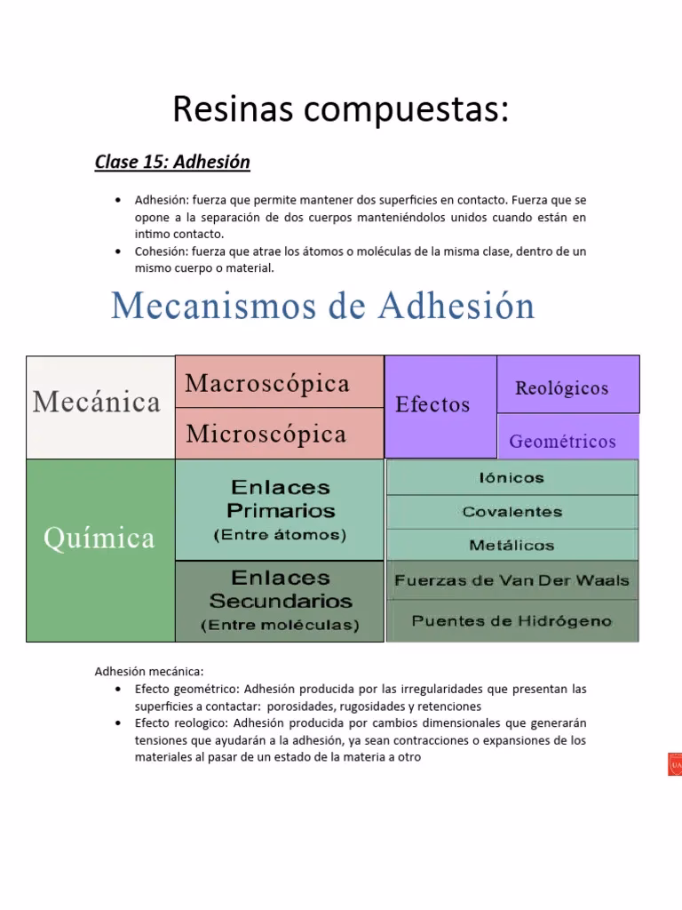 ¿Cómo se llama el material de restauración que se asemeja al diente?