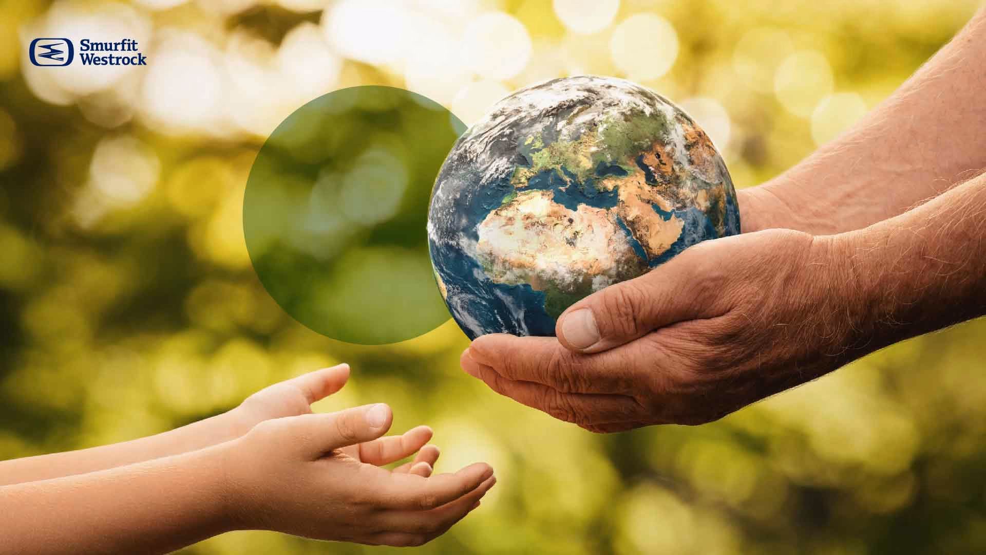 ¿Qué relación hay entre la biodiversidad y los servicios ecosistémicos?