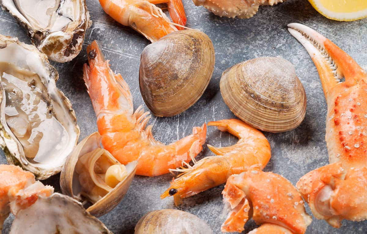¿Qué alimentos se consideran mariscos?