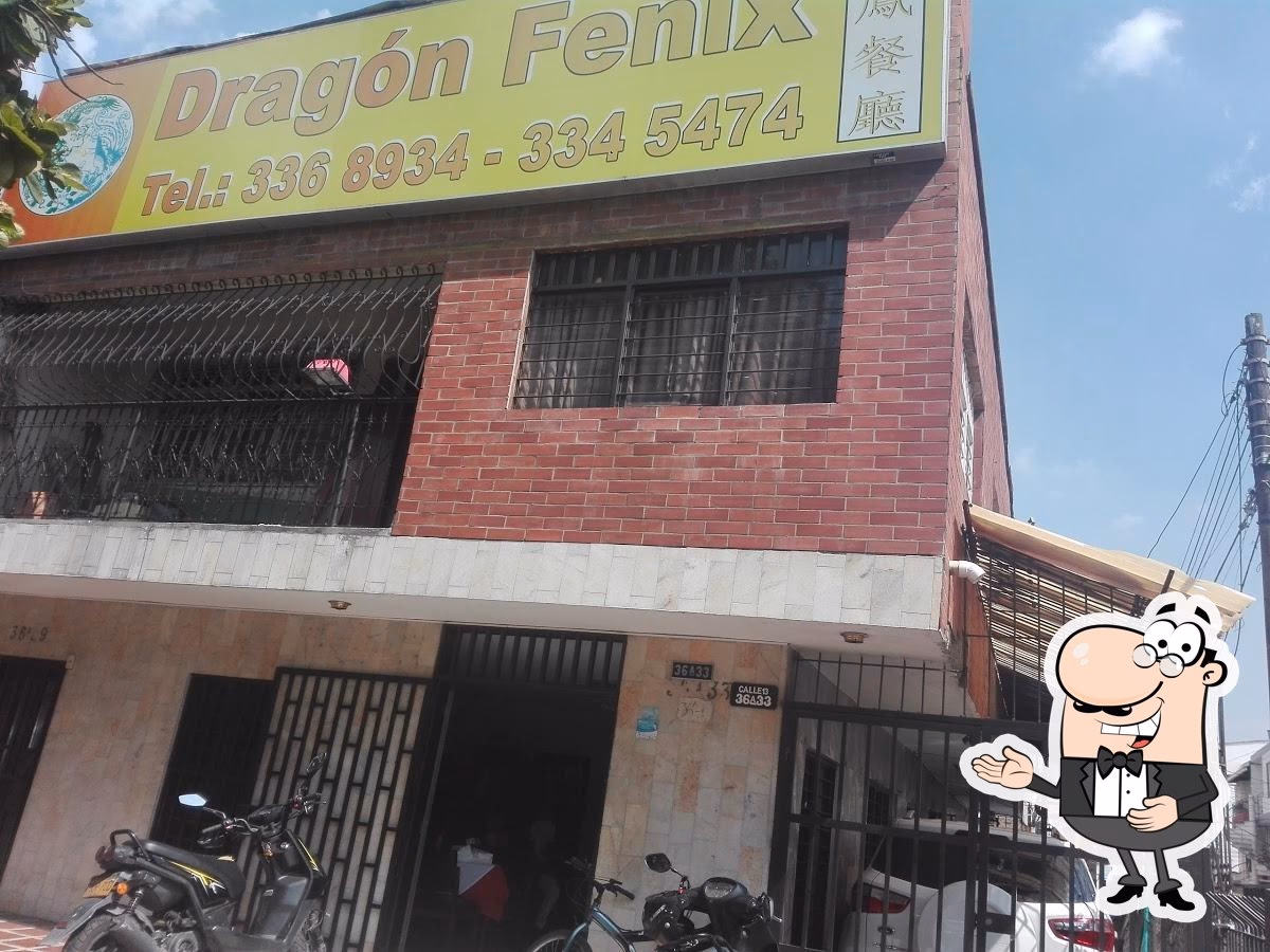 ¿Qué es el dragón fénix?