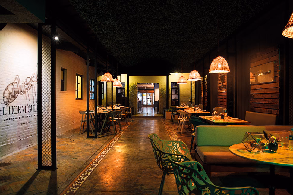 ¿Dónde tiene lugar el hormiguero?