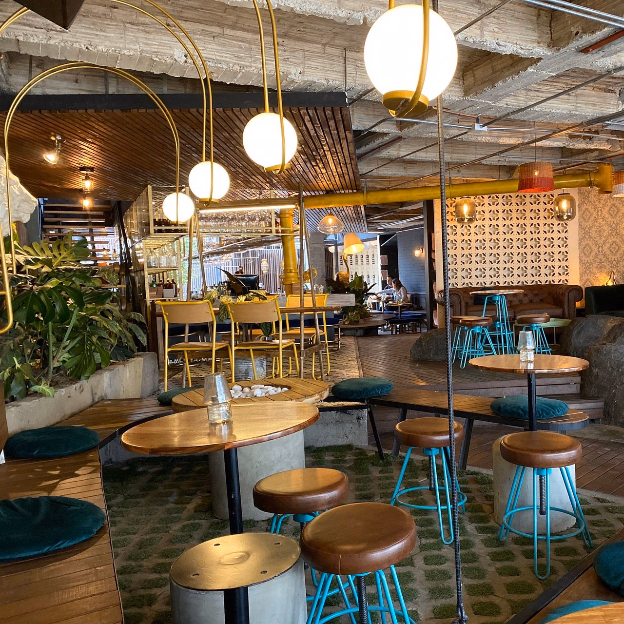 ¿Dónde está el mono bandido?