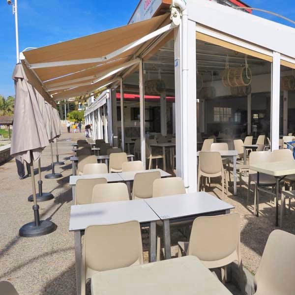 ¿Quién compró las acacias?