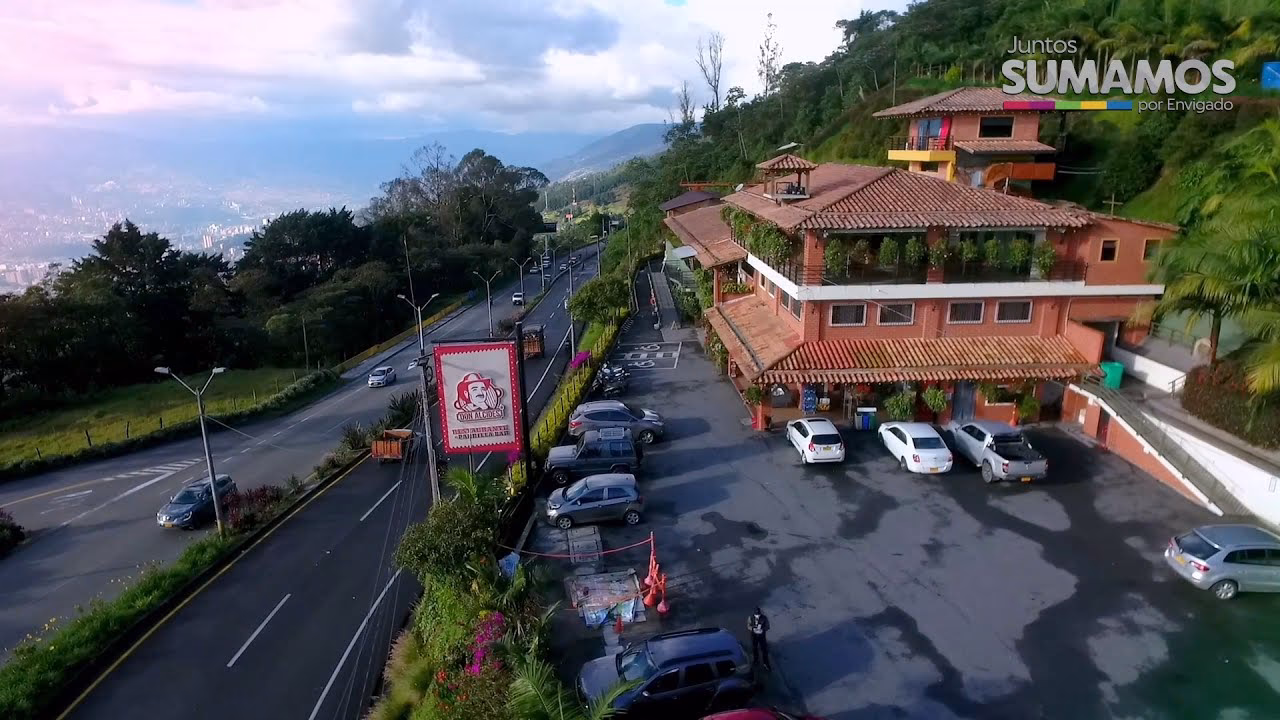 ¿Cuánto miden las palmas en Medellín?