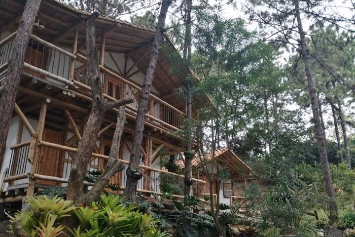 ¿Cuánto cuestan los panchos?