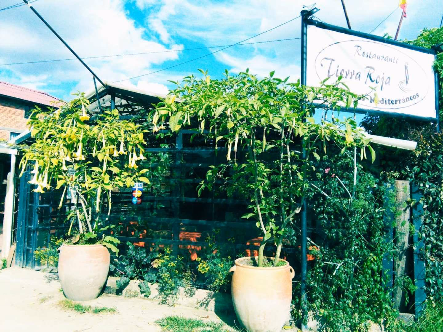 ¿Qué es un restaurante verde?