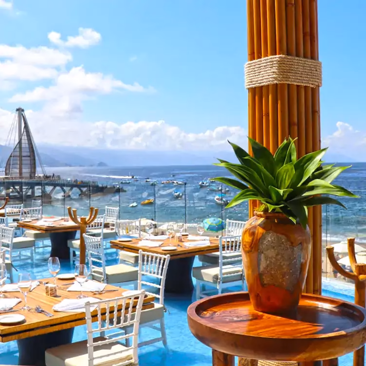 ¿Qué restaurantes tiene el Riu Vallarta?