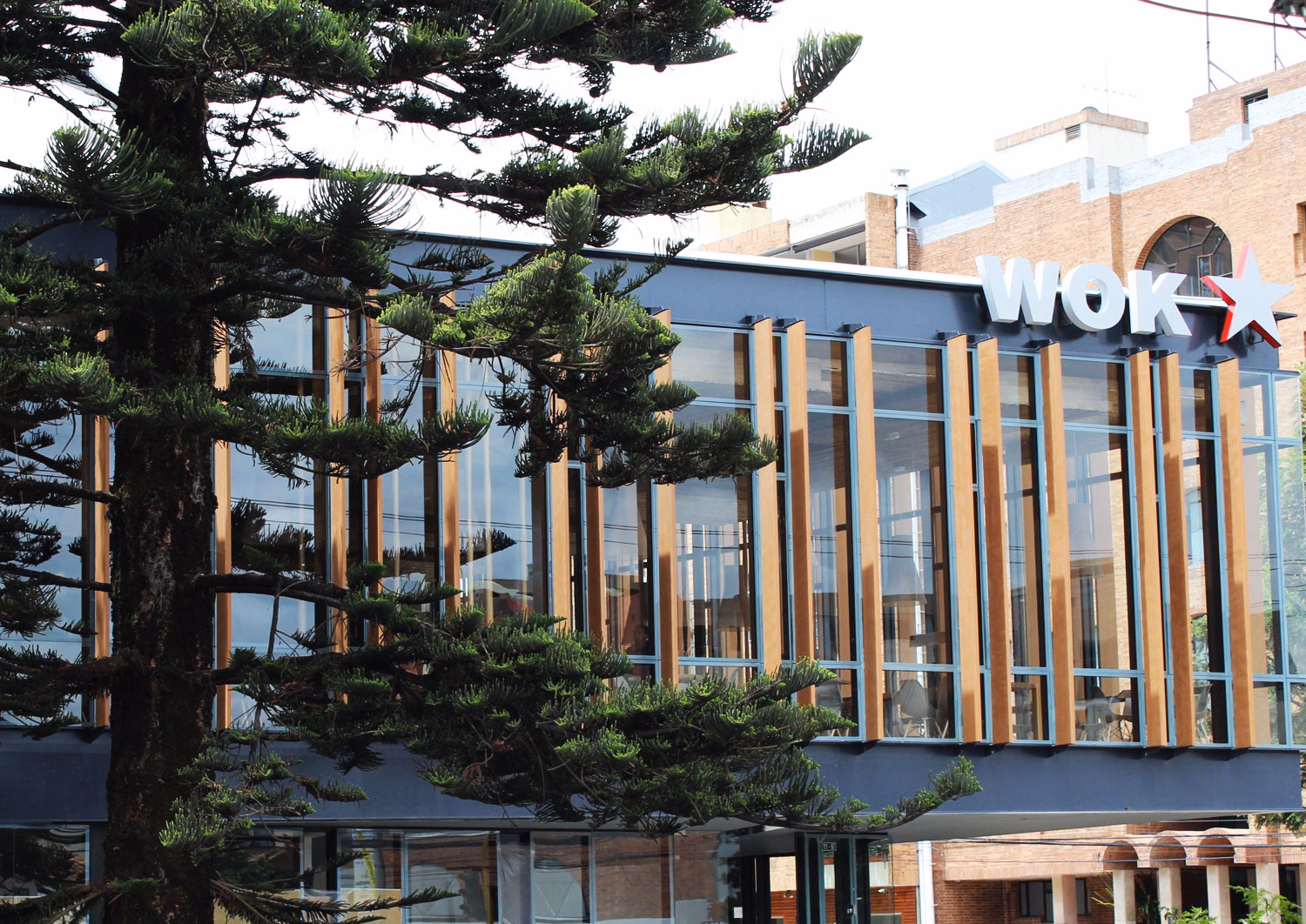 ¿Cuál es el plato más grande de Wok?