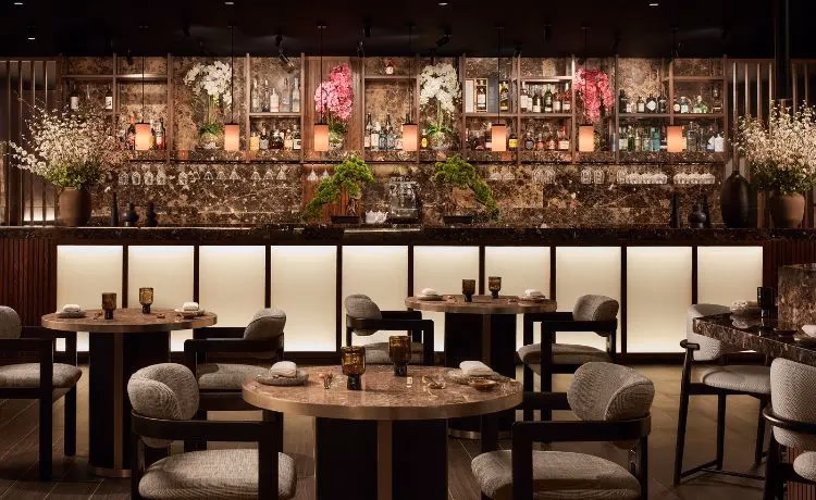 ¿Cuál es la parte más elegante de Tenerife?