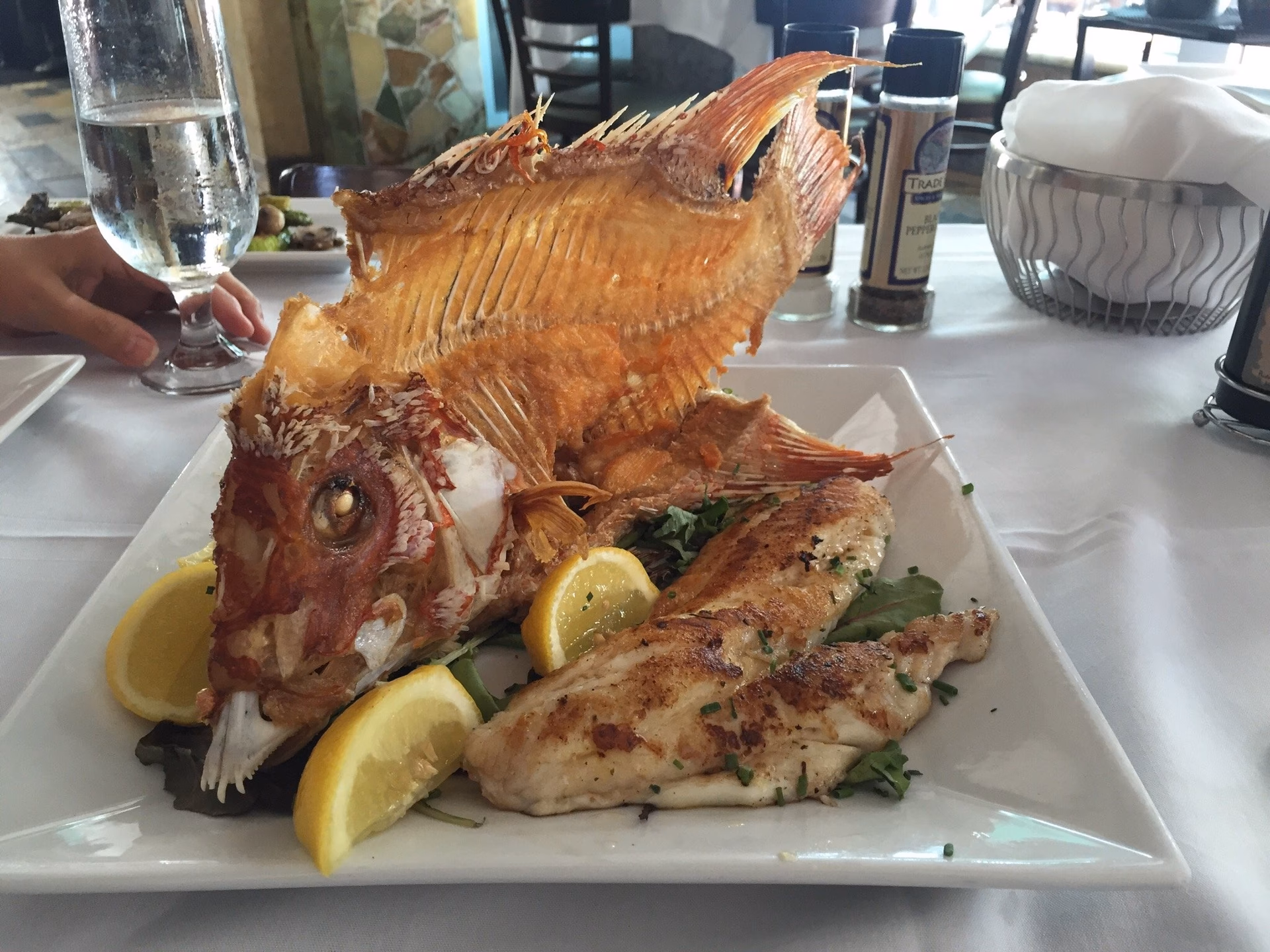 ¿Cuáles son los mejores restaurantes de mariscos en Miami?