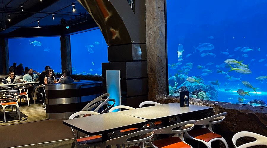 ¿Cuánto cuesta la comida en SeaWorld?