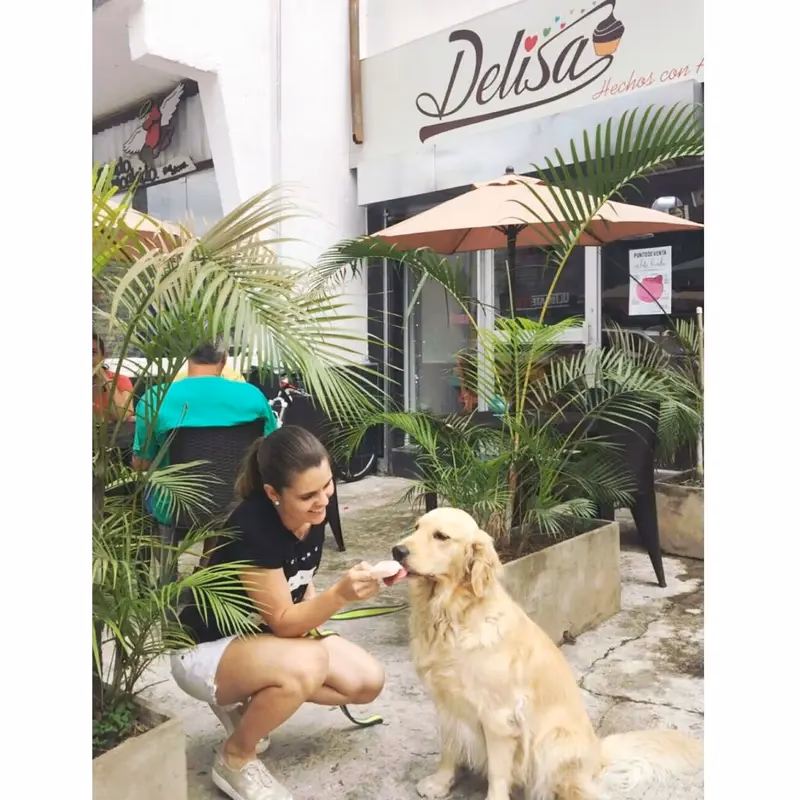 ¿Qué hacer en Cali con mascotas?