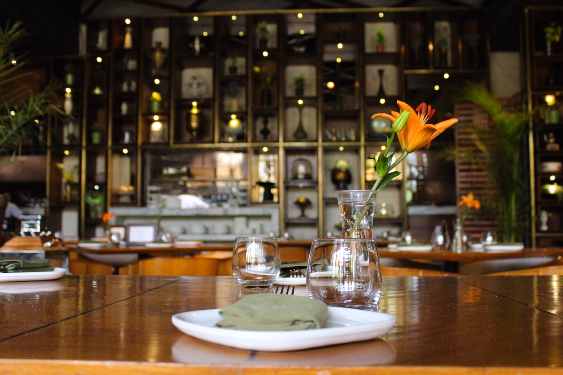 ¿Qué seguros son obligatorios en un bar?