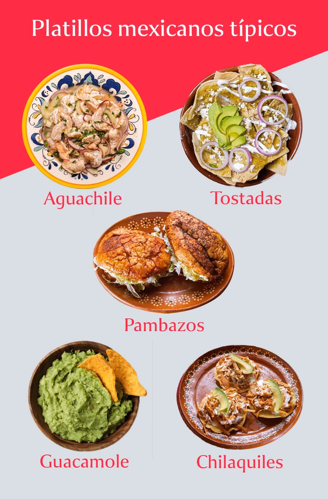 ¿Qué alimentos son más reconocidos en la gastronomía mexicana?