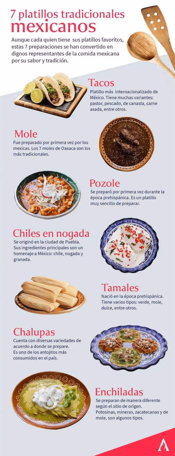 ¿Cómo se clasifican los platos de comida?