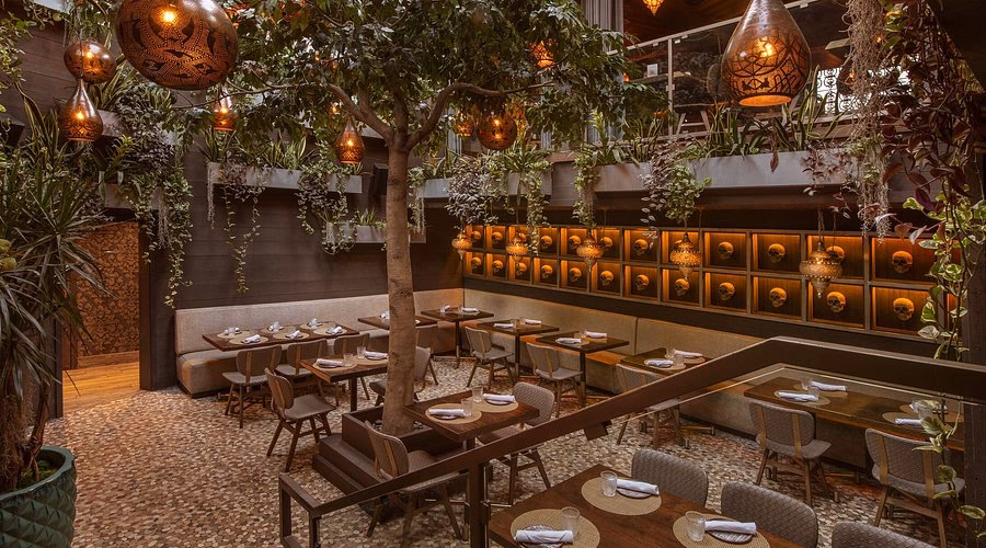 ¿Por qué dicen toco madera?